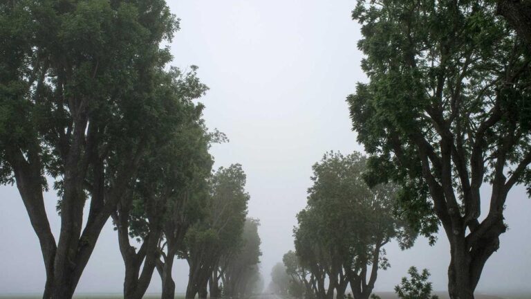 How To Reset 11Xplay Pro Com Login Password Easily?